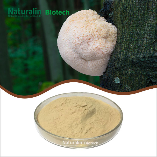 Lion'S Mane Mushroom Extract Powder